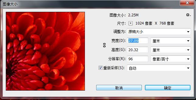 Photoshop图像处理：调整图像大小