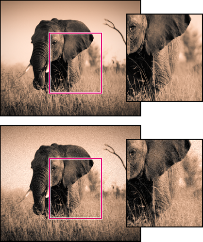 Photoshop入门学习之Camera Raw 中的晕影、颗粒和去除薄雾效果