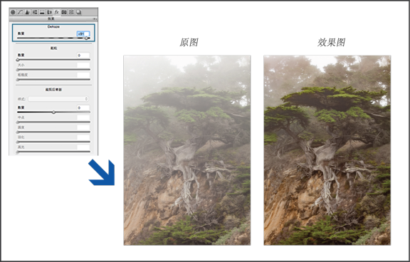 Photoshop入门学习之Camera Raw 中的晕影、颗粒和去除薄雾效果