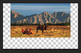 photoshop图像处理—剪贴蒙版